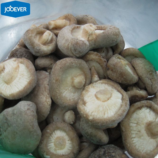 IQF Frozen Shiitake whole