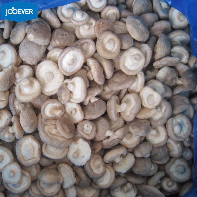 IQF Frozen Shiitake whole