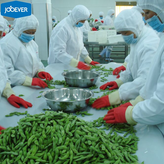 IQF Frozen Edamame Bean