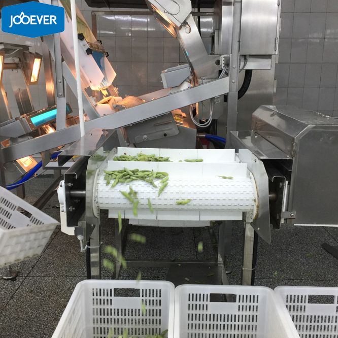 IQF Frozen Edamame Bean