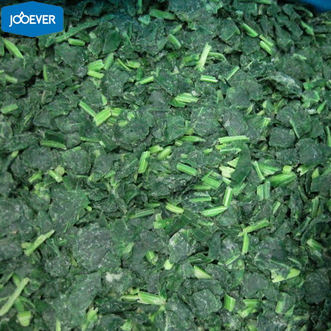 IQF Frozen Spinach leaf cut