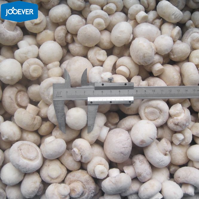 IQF Frozen Champignon Mushroom whole