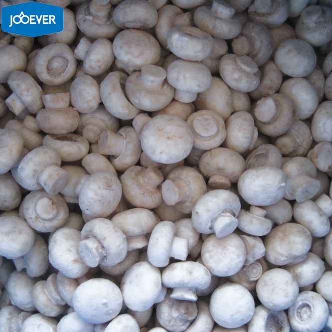 IQF Frozen Champignon Mushroom whole
