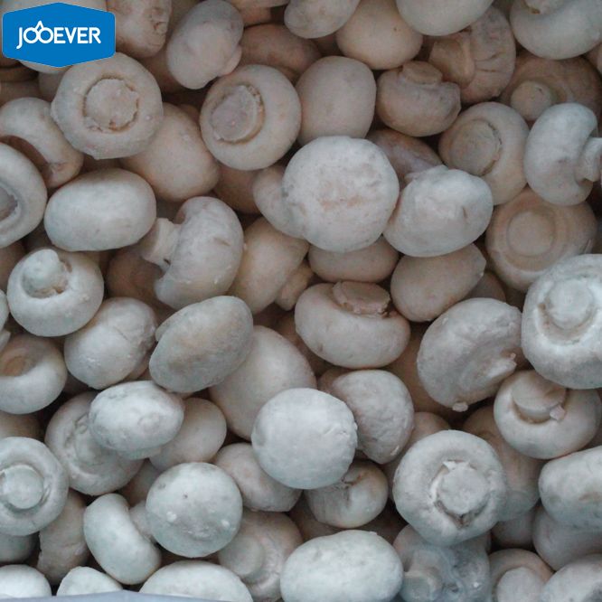 IQF Frozen Champignon Mushroom whole