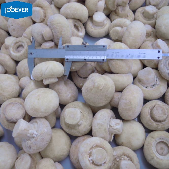 IQF Frozen Champignon Mushroom whole