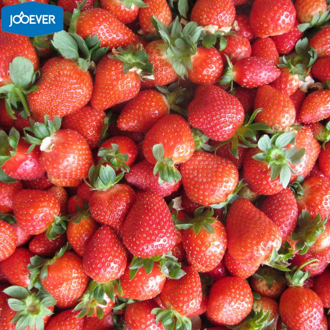 IQF Frozen Strawberry Honey