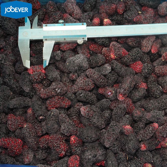 IQF Frozen Mulberry
