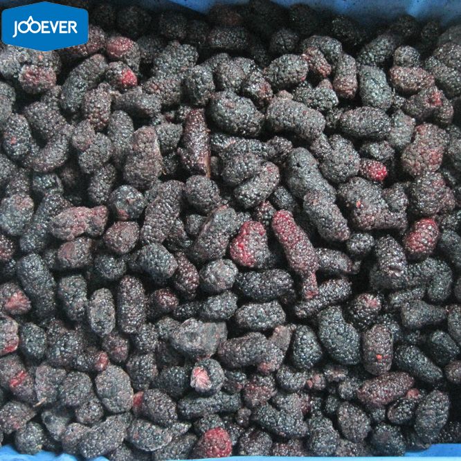 IQF Frozen Mulberry