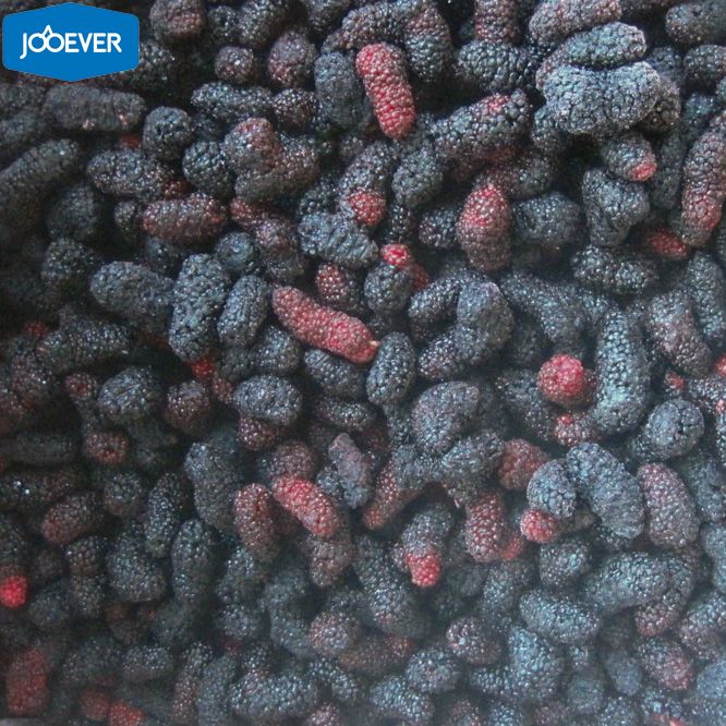 IQF Frozen Mulberry