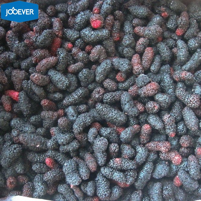 IQF Frozen Mulberry
