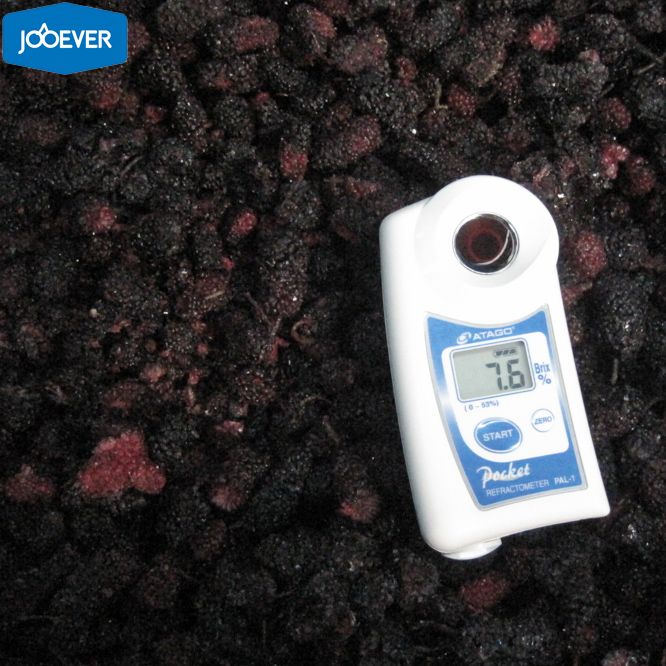 IQF Frozen Mulberry