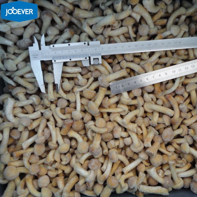IQF Frozen Nameko