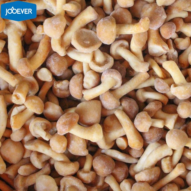IQF Frozen Nameko
