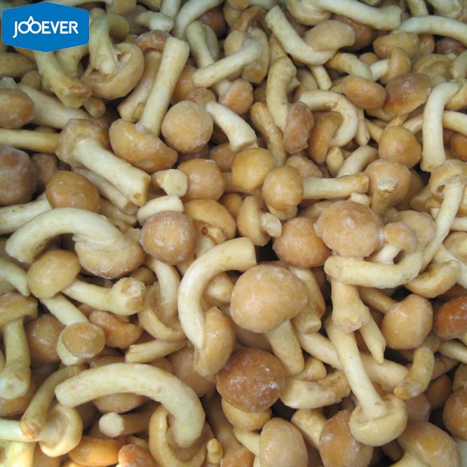 IQF Frozen Nameko