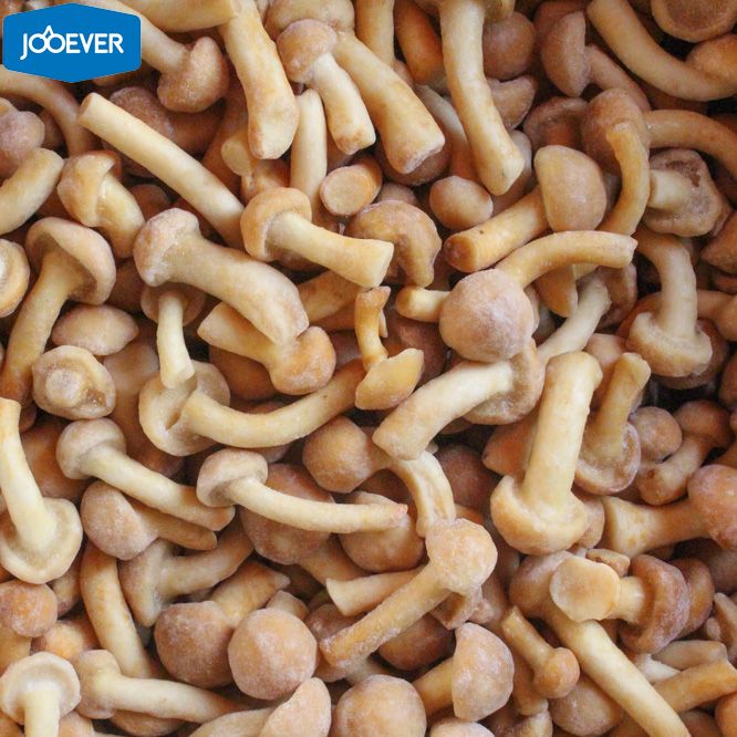 IQF Frozen Nameko