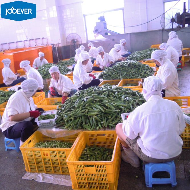 IQF Frozen Okra cut