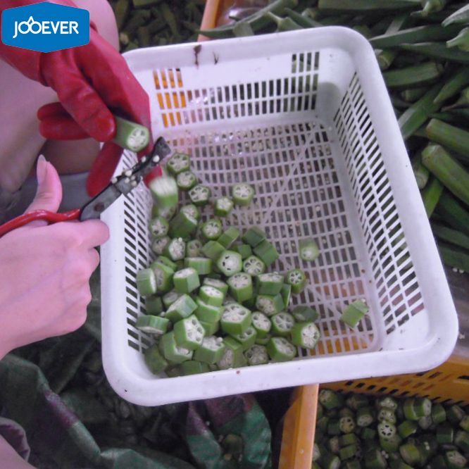 IQF Frozen Okra cut