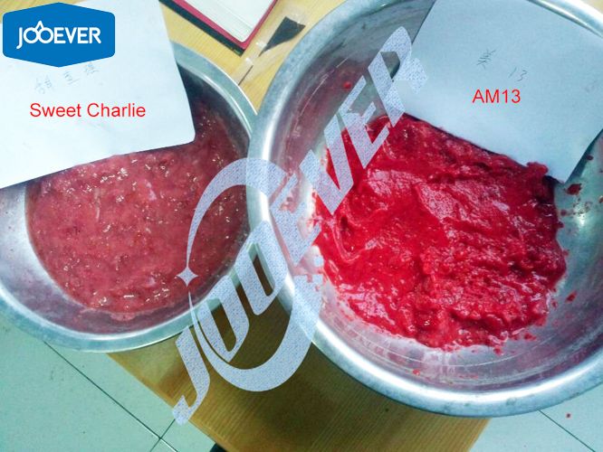 Frozen Strawberry puree