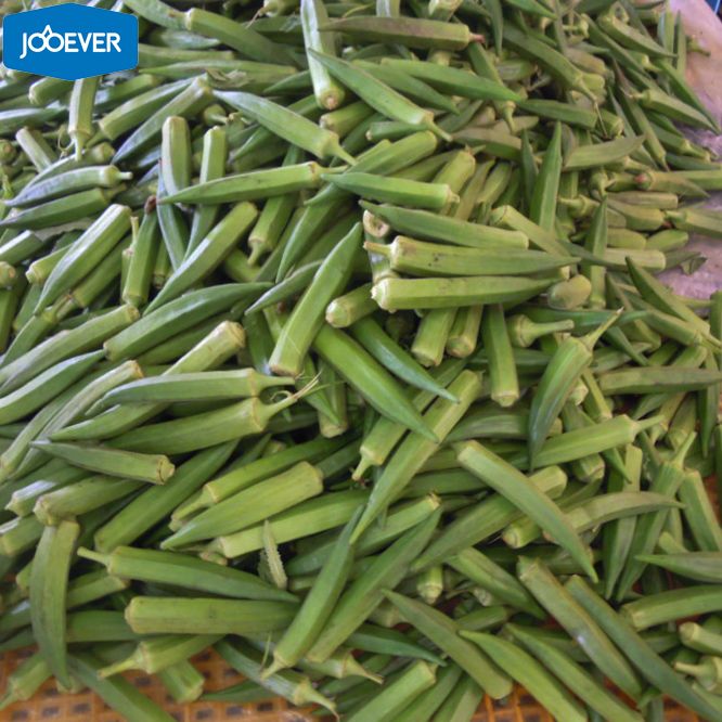 IQF Frozen Okra whole