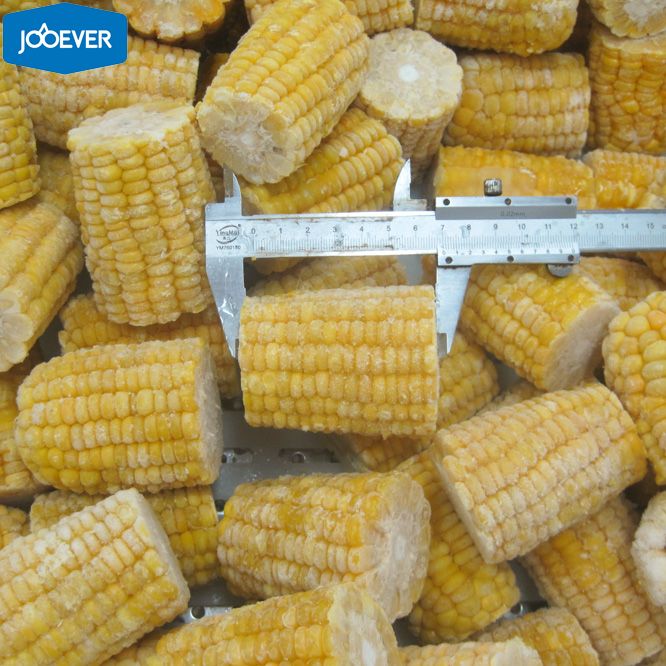IQF Frozen Sweet Corn Cob