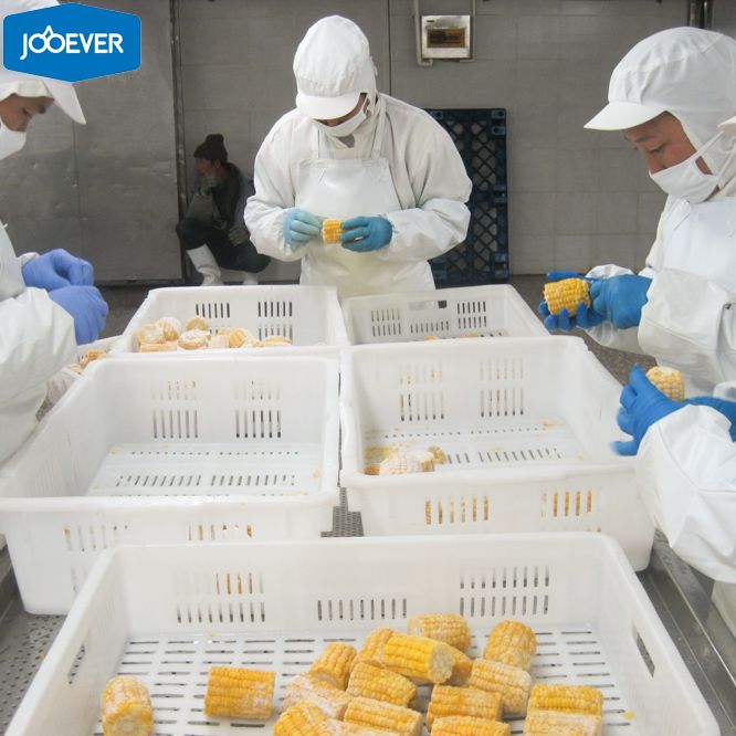 IQF Frozen Sweet Corn Cob