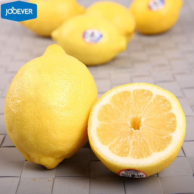 Fresh Lemon