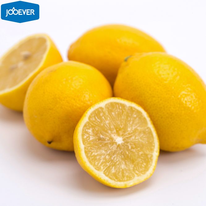 Fresh Lemon