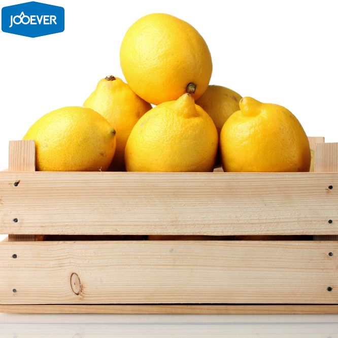 Fresh Lemon