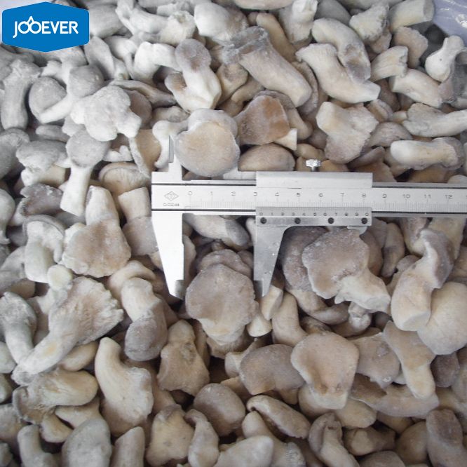IQF Frozen Baby Oyster Mushroom