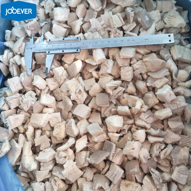 IQF Frozen Oyster Mushroom chunk