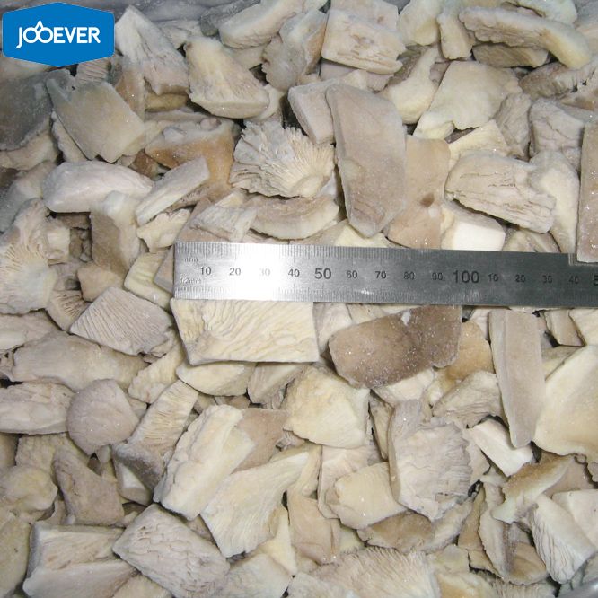 IQF Frozen Oyster Mushroom chunk