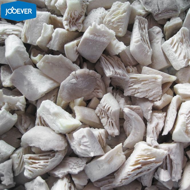 IQF Frozen Oyster Mushroom chunk