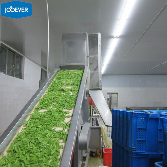IQF Frozen Peapods