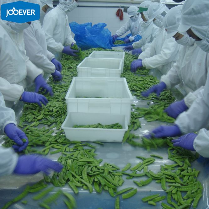 IQF Frozen Peapods