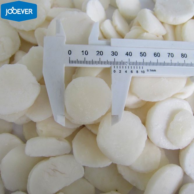 IQF Frozen Water Chestnut slice