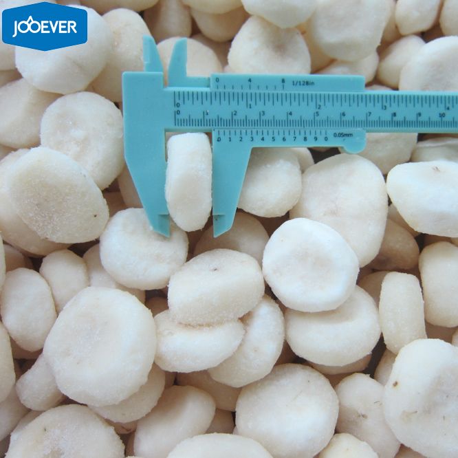 IQF Frozen Water Chestnut slice