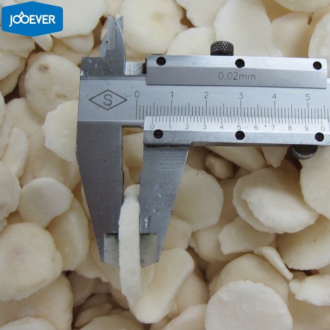 IQF Frozen Water Chestnut slice
