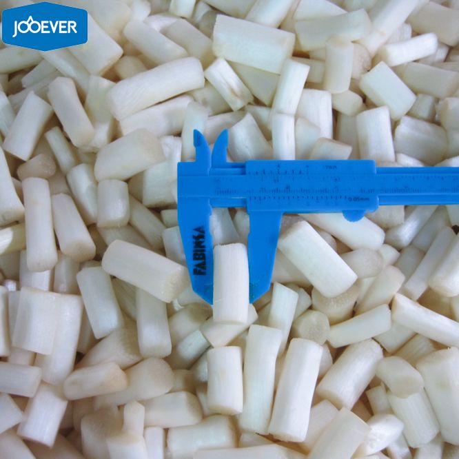 IQF Frozen White Asparagus cut