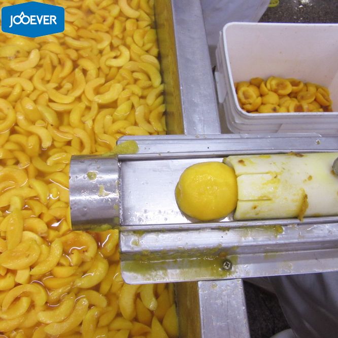 IQF Frozen Yellow Peach slice