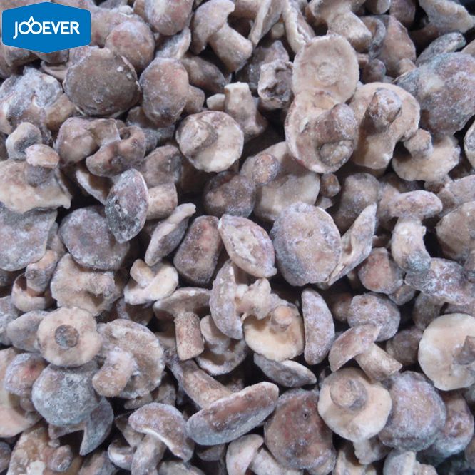 IQF Frozen Suillus Granulatus whole