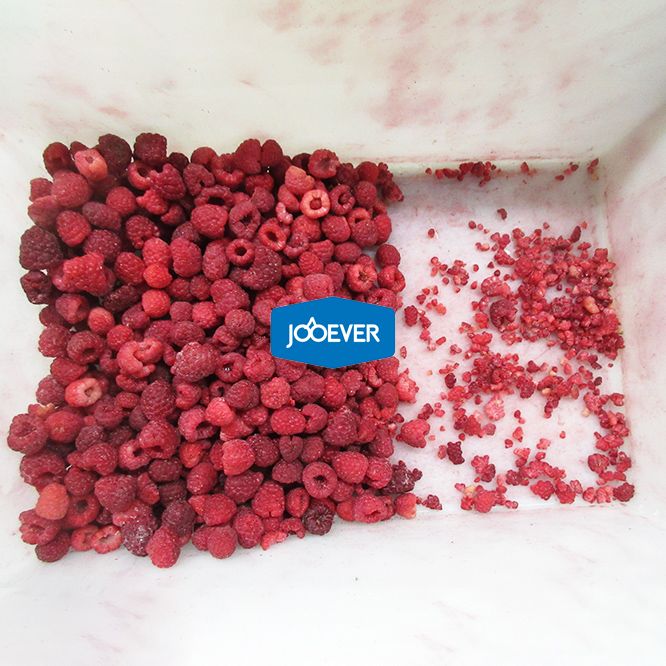 IQF Frozen Raspberry whole