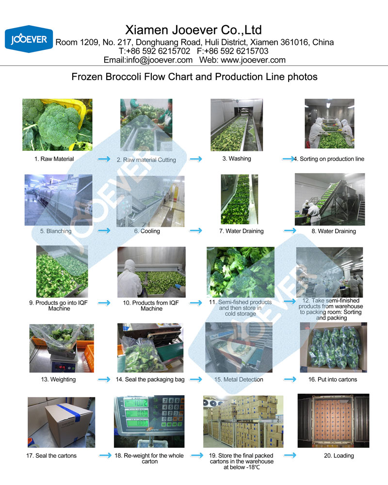 Flow Chart of IQF Broccoli