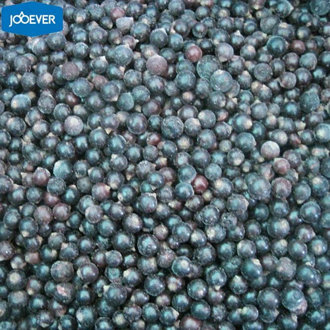 IQF Frozen Black Currant
