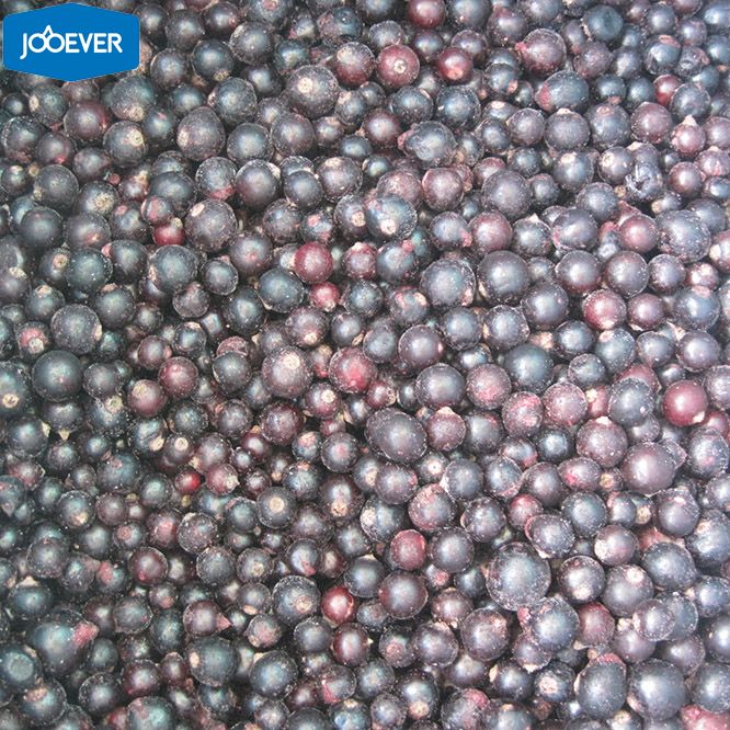 IQF Frozen Black Currant