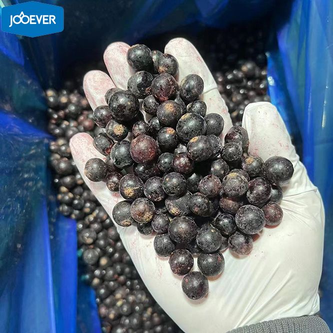 IQF Frozen Black Currant