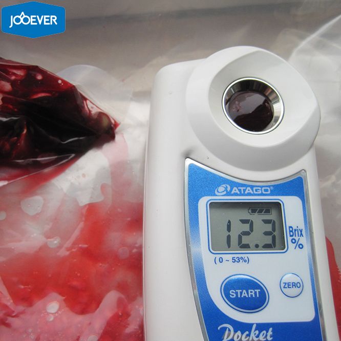 IQF Frozen Black Currant