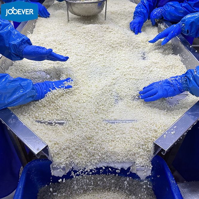 IQF Frozen Cauliflower Rice