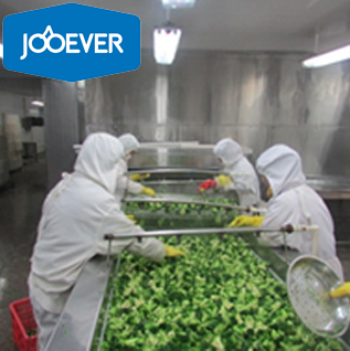 Frozen Vegetable & Fruit Grading Standards: A Complete Guide for Importers